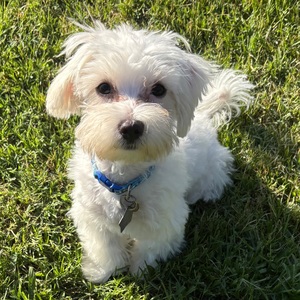 Max